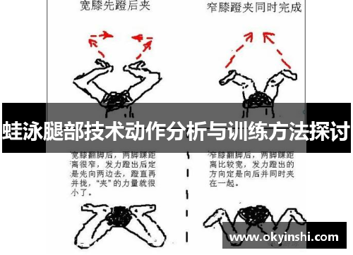 蛙泳腿部技术动作分析与训练方法探讨